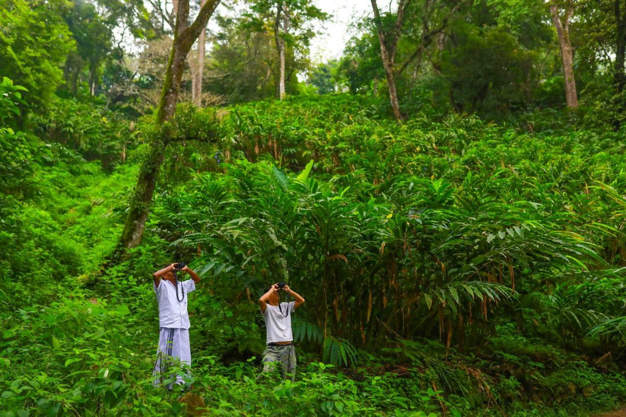 सहारा Sitaram Mountain Retreat Munnar